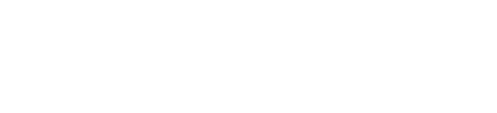 Salex Motors Logo